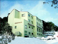 Cedarwood Apartments - Accommodation Directory 0