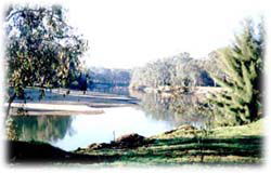 Corowa Golf Club Motel - Accommodation Directory 0