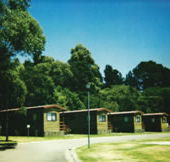 Katoomba Falls Caravan Park - Accommodation Directory