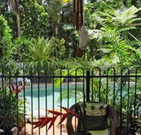 Daintree Rainforest Retreat Motel - Accommodation Directory
