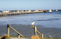 Caroline SA Accommodation Directory