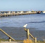Seaview Motel and Holiday Units - Accommodation Directory