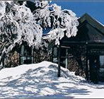 Arlberg Hotel Mt Buller - Accommodation Directory