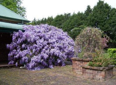 Heronswood House - Accommodation Directory 2