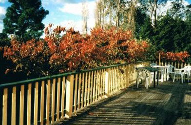 Heronswood House - Accommodation Directory 5