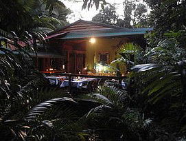 Daintree Rainforest Retreat Motel - Accommodation Directory 4