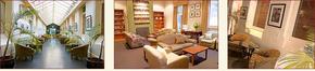 AnsoniA On Lydiard - Accommodation Directory 1