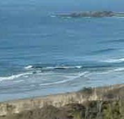 Beach Haven Apartments - Accommodation Directory