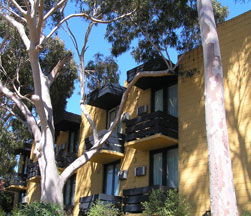 Pathfinder Motel - Accommodation Directory 1