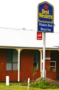 Best Western Whalers Rest Motor Inn - Accommodation Directory