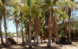 King Sound Resort Hotel - Accommodation Directory