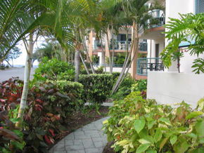 Pacific Place Apartments - Accommodation Directory 5