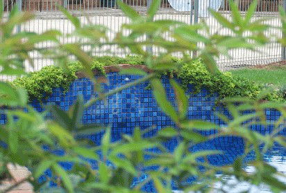Arcadia Motor Inn - Accommodation Directory 4