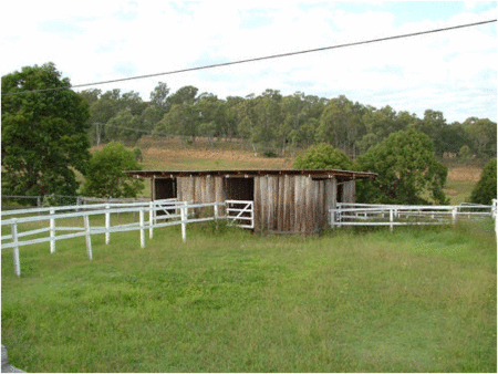 Jacaranda Motor Lodge - Accommodation Directory 1