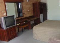 Winning Post Motor Inn - Accommodation Directory 0