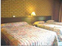Bega Village Motor Inn - Accommodation Directory 3