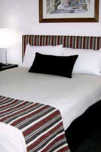 Cattle City Motor Inn - Accommodation Directory 1