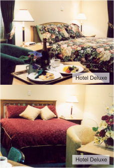  Accommodation Directory