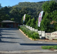 Bright Colonial Inn Motel - Accommodation Directory