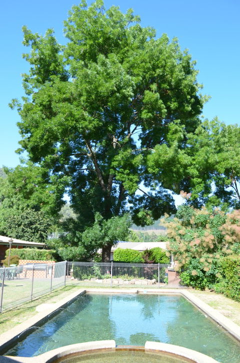 Bright Colonial Inn Motel - Accommodation Directory 4