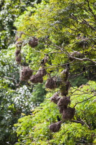 Lake Placid Tourist Park - Accommodation Directory 4