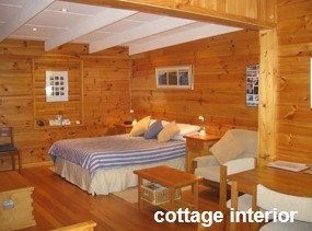 Anglesea Rivergums - Accommodation Directory 0