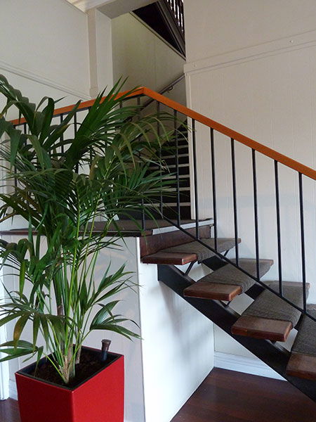George On The Terrace - Accommodation Directory 0