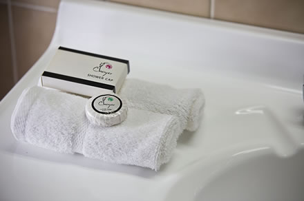 Cumberland Motor Inn - Accommodation Directory 7