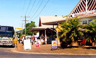 Mission Beach Rainforest Motel - Accommodation Directory 0
