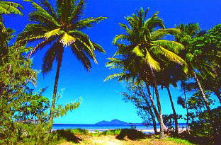 Mission Beach Rainforest Motel - Accommodation Directory 1