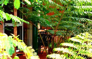 Mission Beach Rainforest Motel - Accommodation Directory 3