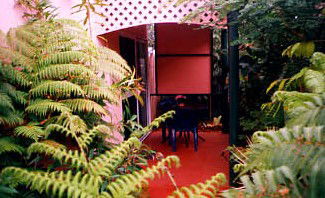 Mission Beach Rainforest Motel - Accommodation Directory 4