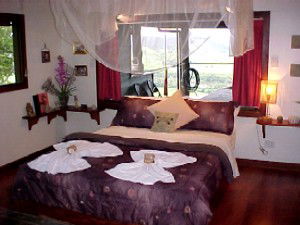 Daintree Cloud 9 - Accommodation Directory 0