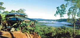 Daintree Cloud 9 - Accommodation Directory 1