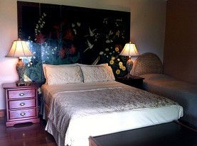 Daintree Manor - Accommodation Directory 0