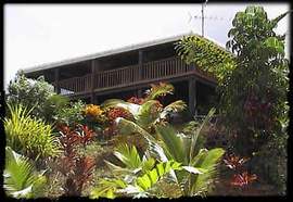 Daintree Manor - Accommodation Directory 5