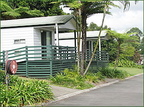 Palmwoods Caravan Park - Accommodation Directory 1