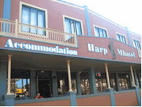 Harp Deluxe Hotel - Accommodation Directory 0
