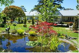  Accommodation Directory
