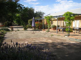 Peechabella Vineyards Bed & Breakfast - Accommodation Directory 0
