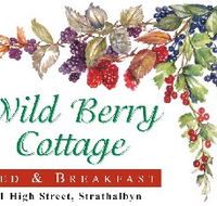 Wild Berry Cottage - Accommodation Directory