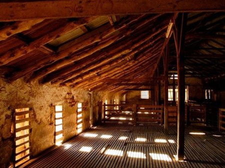 Bungaree Station - Accommodation Directory 3