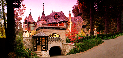 Thorngrove Manor - Accommodation Directory