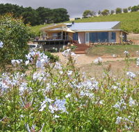 The Blue Grape Vineyard Accommodation - Accommodation Directory
