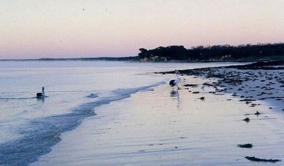 Destrees Bay SA Accommodation Directory