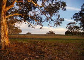 Mirrabooka Bed And Breakfast - Accommodation Directory 1