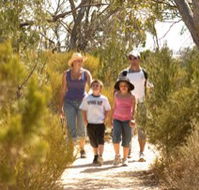 Long Island Caravan Park Cabins - Accommodation Directory
