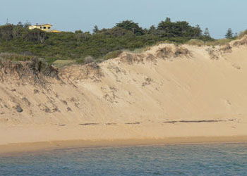 Ark Bed And Breakfast - Accommodation Directory 1