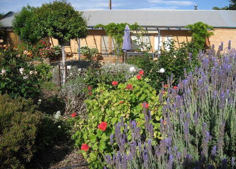 Peechabella Vineyards Bed & Breakfast - Accommodation Directory 3
