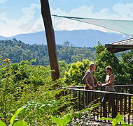 Rose Gums Wilderness Retreat - Accommodation Directory